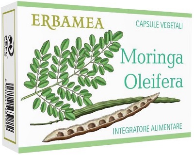 MORINGA OLEIFERA 24 Capsule