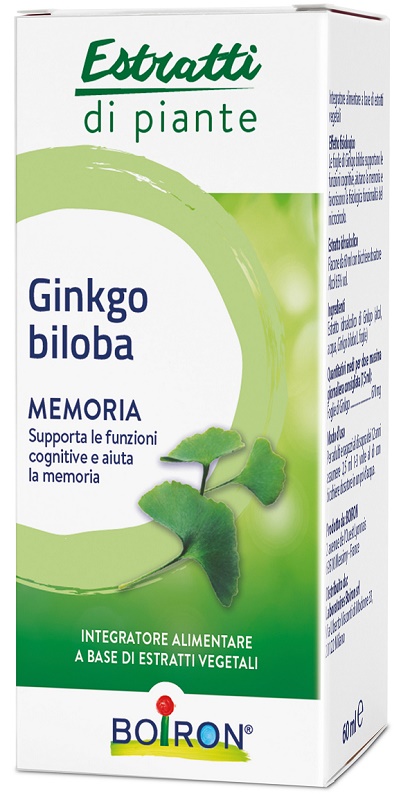 GINKGO BILOBA EI 60ML