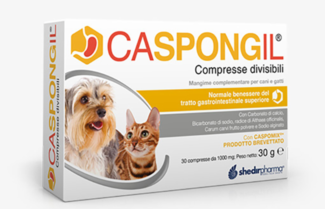 CASPONGIL 30 Compresse DIVISIBILI
