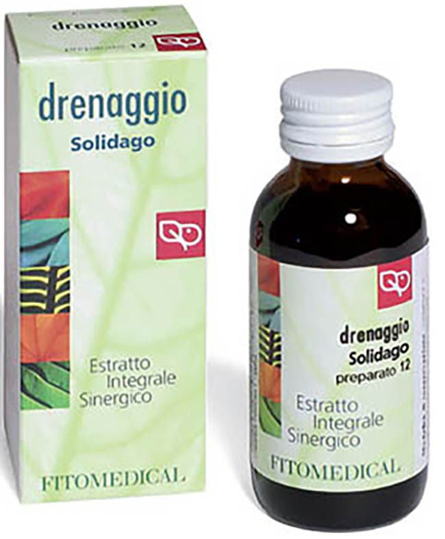 LYSIMACHIA EIS PREPARATO 12 60
