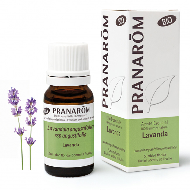 PRANAROM LAVANDA OLIO ESS BIO 10