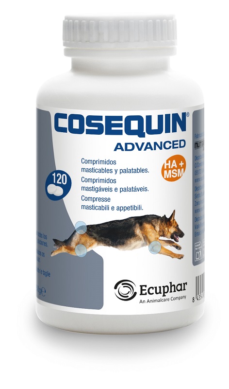 V COSEQUIN ADVANCED CANE 120CPR