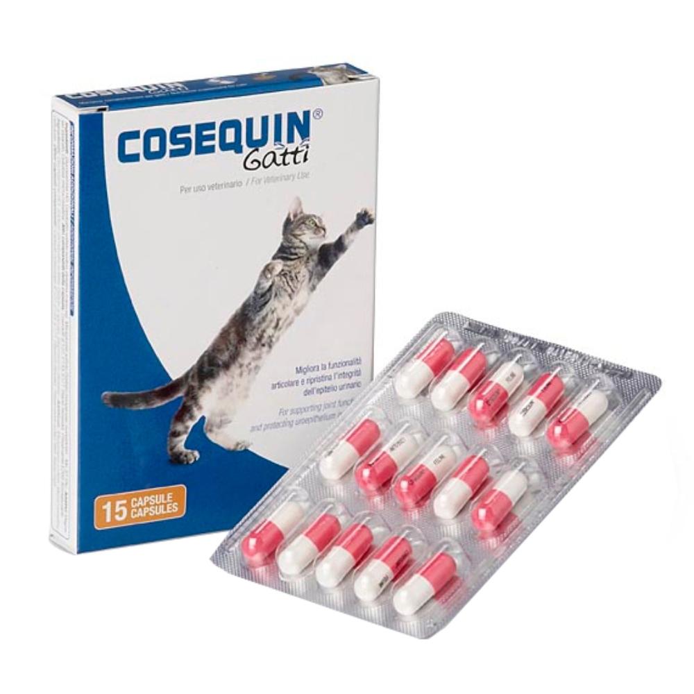 COSEQUIN GATTI 15 Capsule